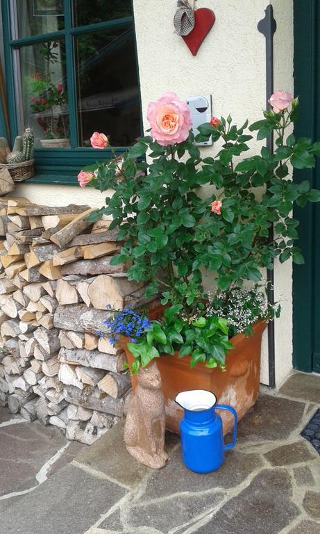Apartmán Holdhaeusl Schladming Pokoj fotografie