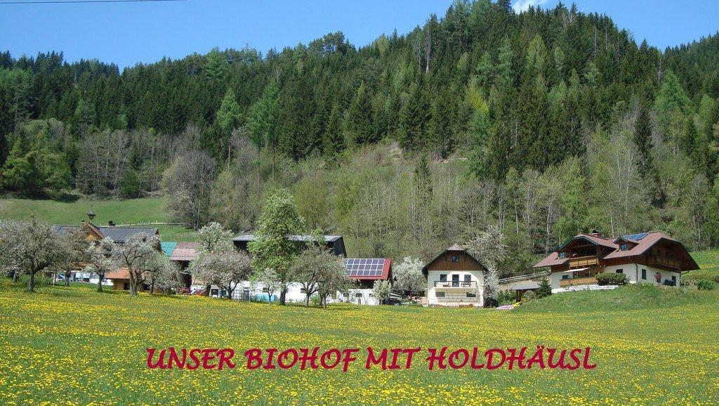 Apartmán Holdhaeusl Schladming Pokoj fotografie