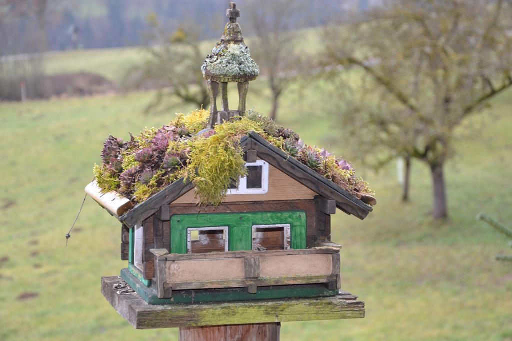 Apartmán Holdhaeusl Schladming Pokoj fotografie